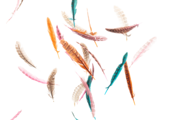 Many color Feather fly fall beautiful spiral pattern in air over black background isolated. Puffy Fluffy soft feathers like dream floating dove in sky. Colorful feathers are so light and delicate