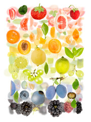Multicolor Fruit Abstract Mix