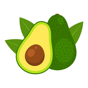 Avocado whole fruit and half isolated on white background. Persea americana, alligator or avocado pear icon. Organic food, healthy nutrition, vegetarian product. Vector flat illustration.