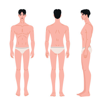 Man body front, back and side view , illustration on white background. Isolated clip art.