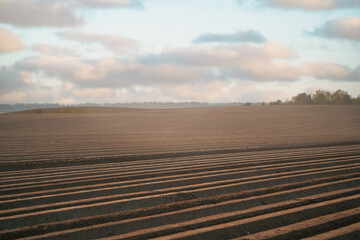 Close-up of the soil of the farmland. Unused plantation field. Landscape scenery a meadow soil.