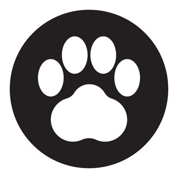 cat footprints icon vector