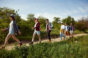 Young people, group of friends walking in forest on path, going hiking on warm summer day. Tourism and leisure time. Concept of active lifestyle, nature, sport and hobby, friendship, fun - obrazy, fototapety, plakaty