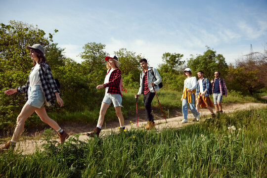 Young people, group of friends walking in forest on path, going hiking on warm summer day. Tourism and leisure time. Concept of active lifestyle, nature, sport and hobby, friendship, fun