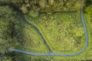 Walking path in a park with green fields and trees. Aerial top down view. Nature scene. Nobody.