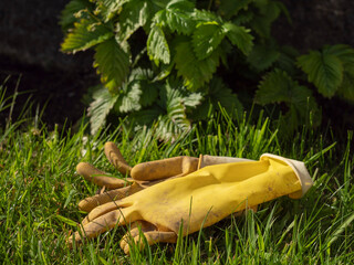 Pair of yellow rubber gloves on a green grass, Garden work concept. Protective equipment to work with plants. Summer time job. Skin care measure.