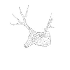 Head Deer with Horn. Low poly model design. Vector illustration. Low poly art of a deer in black color wireframe. Vector animal triangle geometric illustration. Abstract polygonal art. With white colo