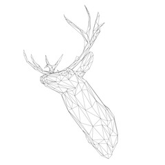 Head Deer with Horn. Low poly model design. Vector illustration. Low poly art of a deer in black color wireframe. Vector animal triangle geometric illustration. Abstract polygonal art. With white colo
