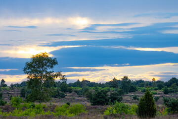 sunset on the Sallandse Heuvelrug