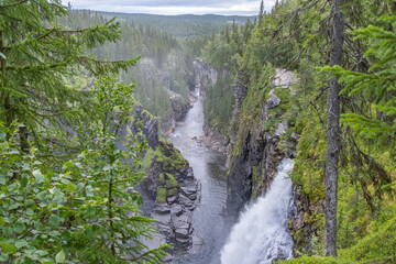 Hällingsåfallet waterfall canyon, Jämtland, Sweden, with vegetation and green forests.