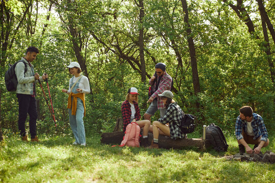 Grouof of young people, friends goig hiking, walking in forest, sitting on meadow, having picnic on warm spring day. Concept of active lifestyle, nature, sport and hobby, friendship