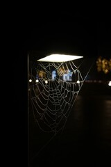 Fototapeta na wymiar Majestic and mysterious nighttime scene featuring a large spider web