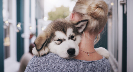 Pet, love and a woman carrying her dog in the home as a companion for trust, safety or friendship. Happy, dogs and a female animal owner holding her purebred husky puppy over her shoulder in a house © Kobus Louw/peopleimages.com