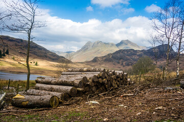 Blea Tarn, Cumbria, UK