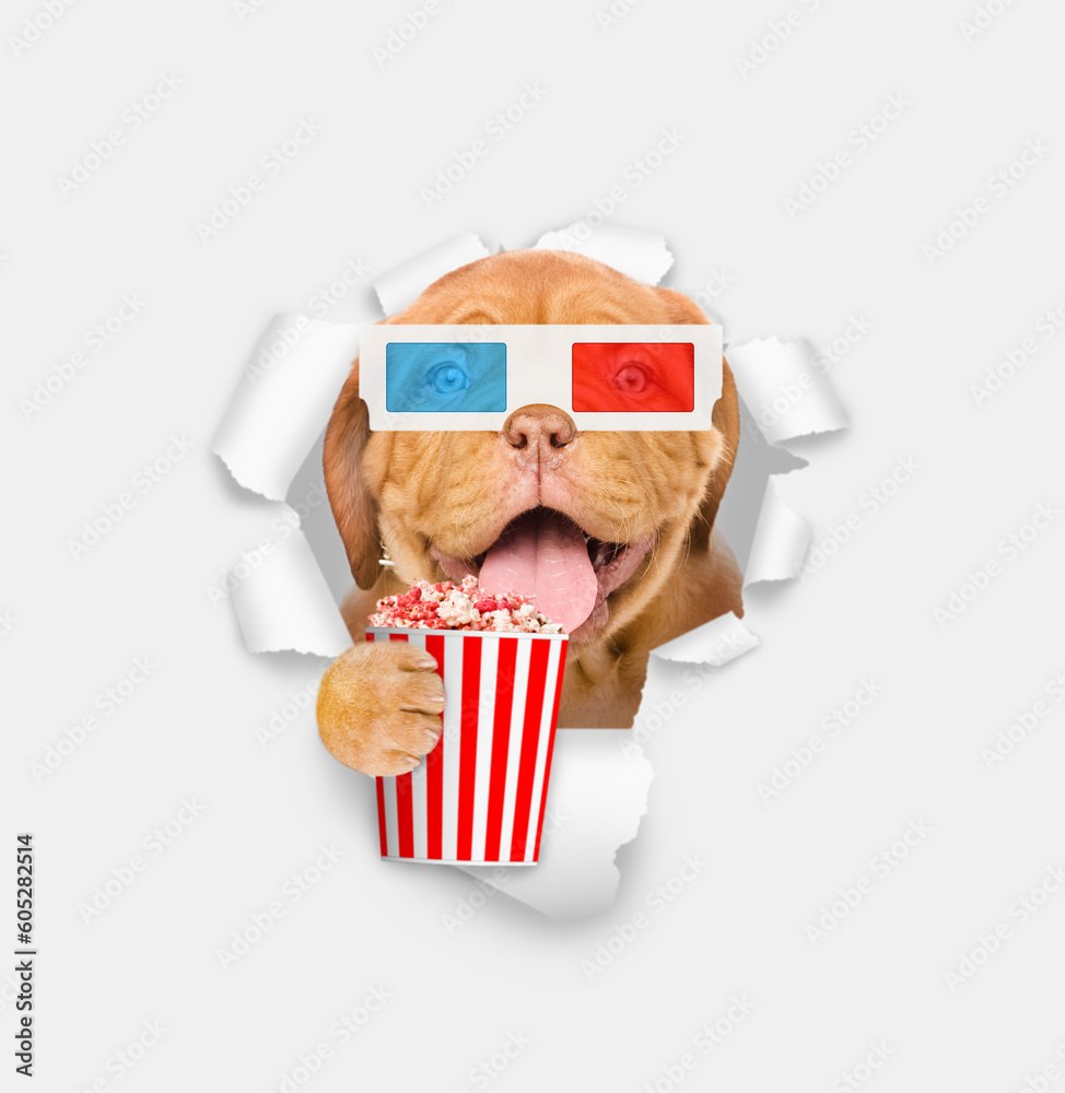 Poster smiling puppy wearing 3d glasses looking through the hole in white paper and holds basket of popcorn