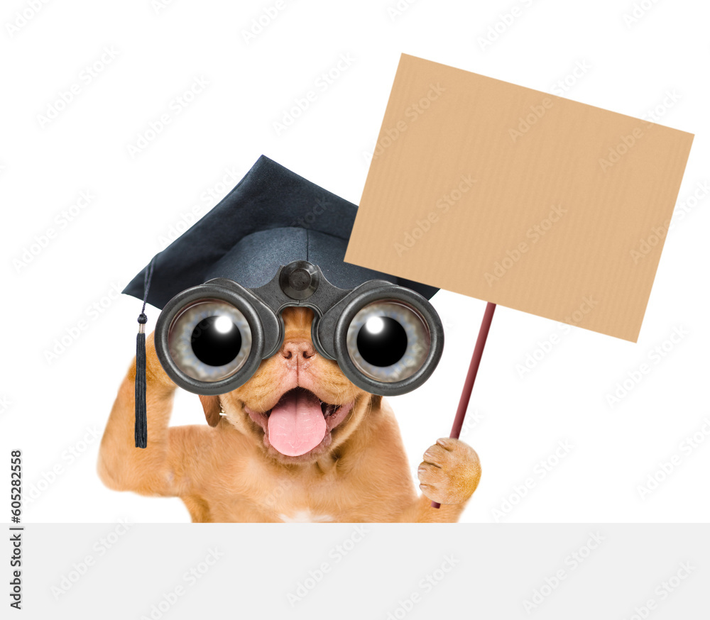Poster graduated mastiff puppy looks through binoculars above empty white banner and shows empty placard. i