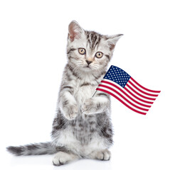 Cute kitten celebrating  independence day 4th of july with USA flag. isolated on white background