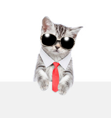 Fototapeta premium Smart cat wearing sunglasses and necktie standing above empty white banner. isolated on white background