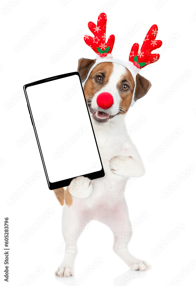 Poster jack russell terrier puppy dressed like santa claus reindeer rudolf holds big smartphone with empty 