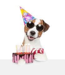 Jack russell terrier puppy wearing sunglasses and party cap holds gift box and birthday cake with lot of candle above empty white board. isolated on white background