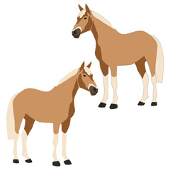 Fototapeta premium Vector brown horse with white legs, mane and tail isolated on white background