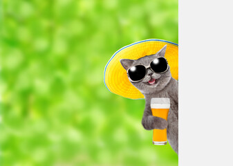 Funny cat wearing summer hat and sunglasses holds beer and looks from behind empty white banner at summer park