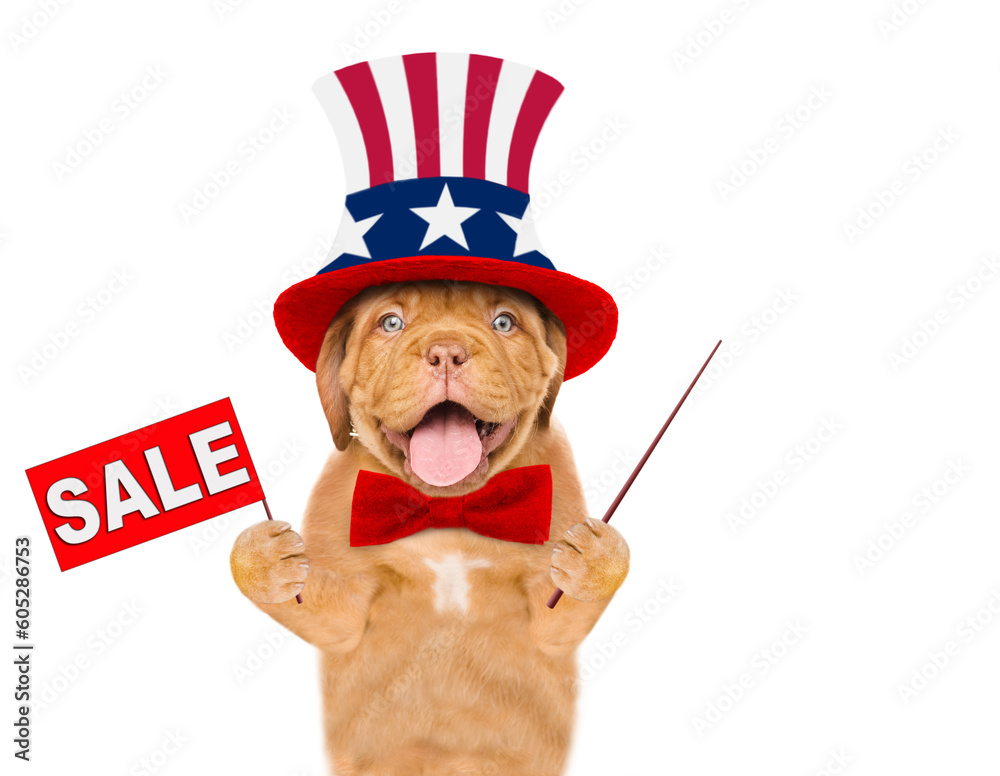 Poster happy mastiff puppy wearing like uncle sam points away on empty space and shows signboard with label