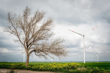 Beautiful shot of wind turbines and a tree under the clouds in a green field during the day