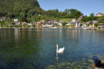 Waterfront at Traukirchen in Upper Austria