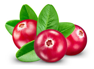 Cranberry with clipping path isolated