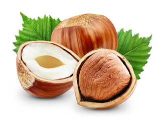Hazelnut with clipping path isolated on a white