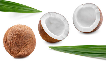 Coconut isolated on white background