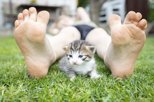 cute little kitten sits between the child's bare feet on the lawn on a warm summer day. Funny photo of friendship between a kid and a pet. Happy childhood. Hello summer