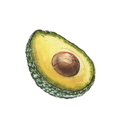 Ripe avocado slice isolated on white background. Watercolor hand drawing botanic realistic illustration. Art for design - 605298739