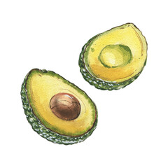 Ripe avocado slice isolated on white background. Watercolor hand drawing botanic realistic illustration. Art for design