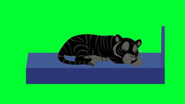 3d rendered animation of a sleeping tiger on a green screen background