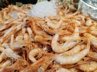 Maravillas del Mar: Deliciosas Gambas