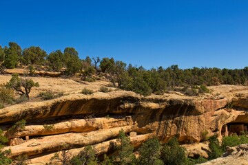 Mesmerizing Cliff Palace in Mesa Verde National Park with preserved ancient dwellings in Colorado