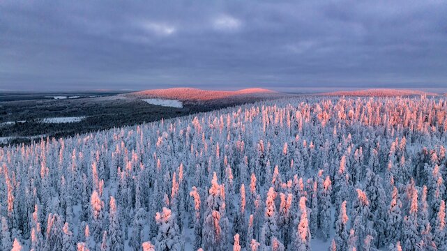 snowy trees and tunturi mountains in Syote, Finland 01