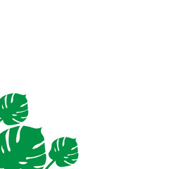 Monstera Leaf Element