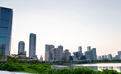 Fototapeta premium City buildings next to the park