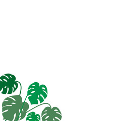 Monstera Leaf Element