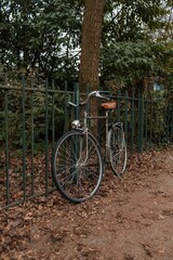 Fototapeta na wymiar Vertical of an old vintage bicycle parked at a gate in front of tall trees in a peaceful park