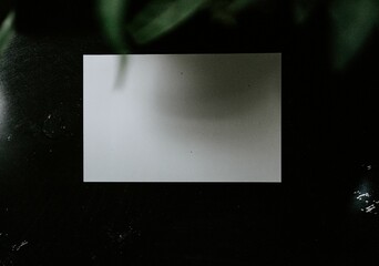 Blank white paper with copyspace on a dark background