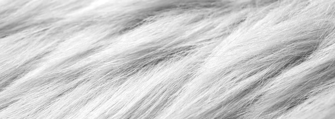 White faux fur as background, closeup. Banner design