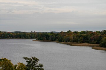 Scenic view of a tranquil lake surrounded by green trees on a cloudy day