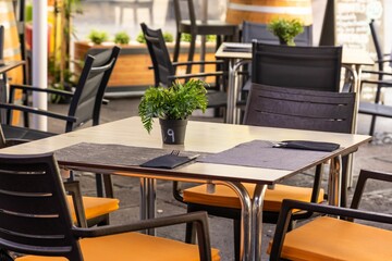Dinner table with placemats, cutlery and a decorative plant in a street cafe