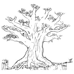 Tree: Vector, Line art, Coloring, Wildlife, Animal, Cute