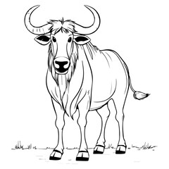 Wildebeest: Vector, Line art, Coloring, Wildlife, Animal, Cute
