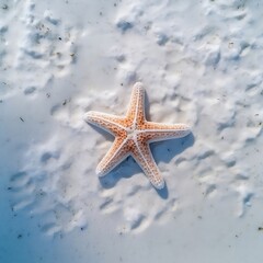 Fototapeta na wymiar Top View of Starfish on White Sand. Generative AI